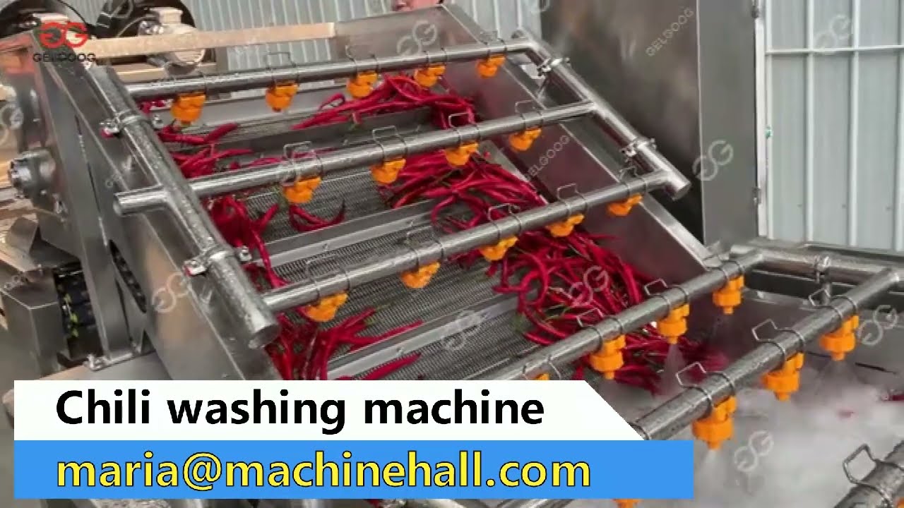Chili Washing Machine Video #chili #washer