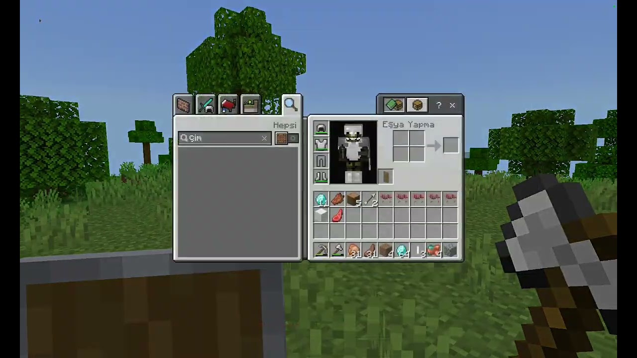 Minecraft ama oyun neden bunları yaptı (part 1)