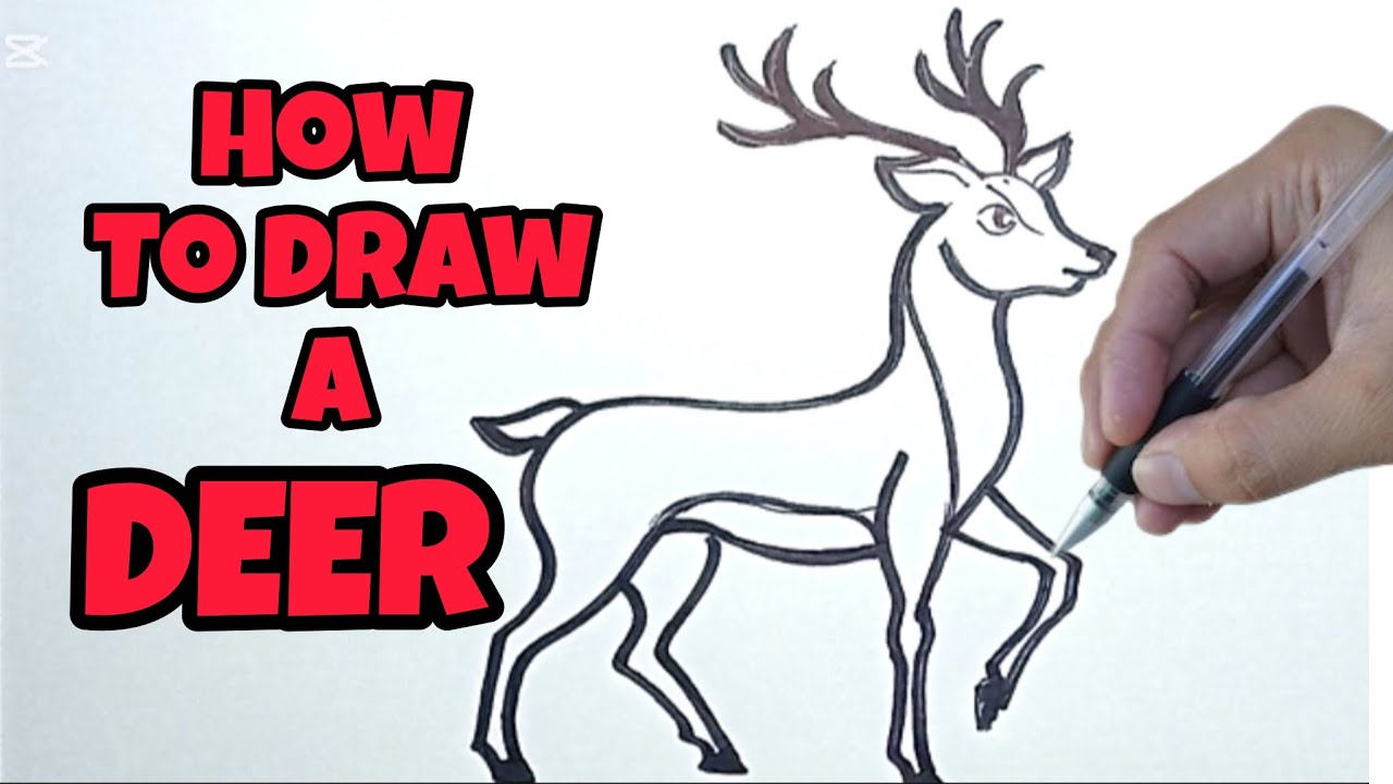 How to DRAW A DEER EASY