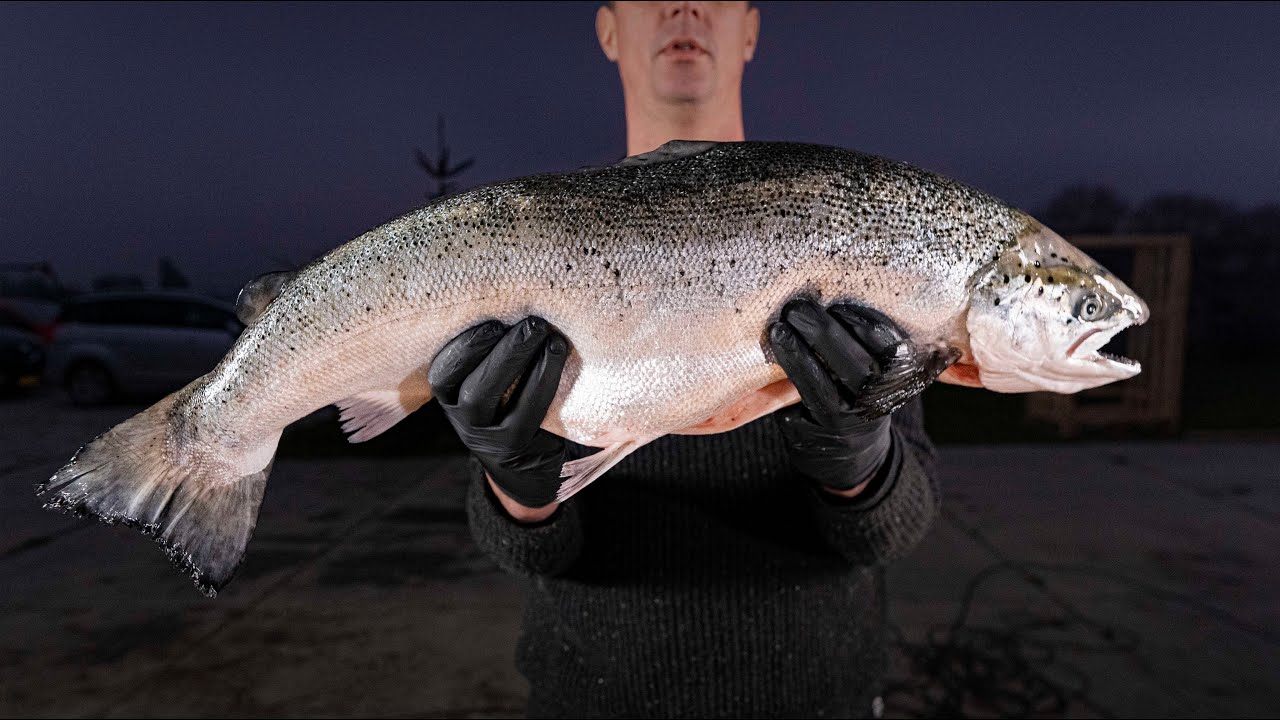 How to smoke the BIGGEST Salmon i could find on CEDAR WOOD