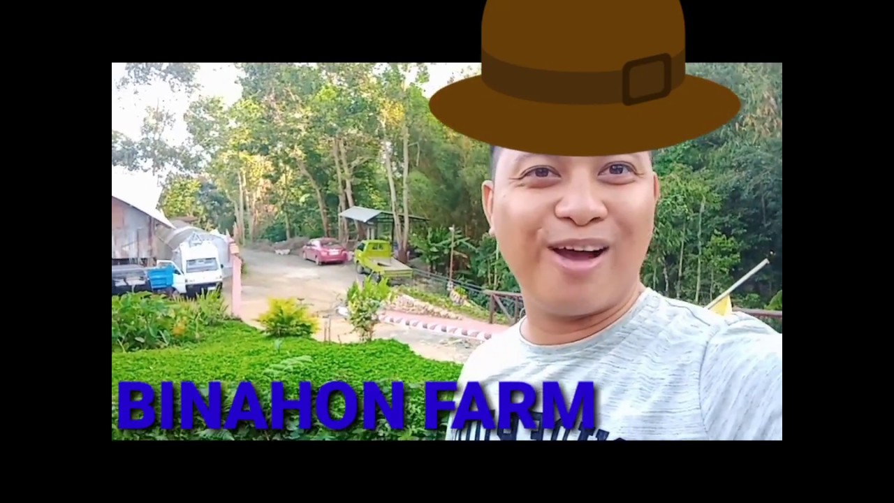 Binahon Farm Adventure