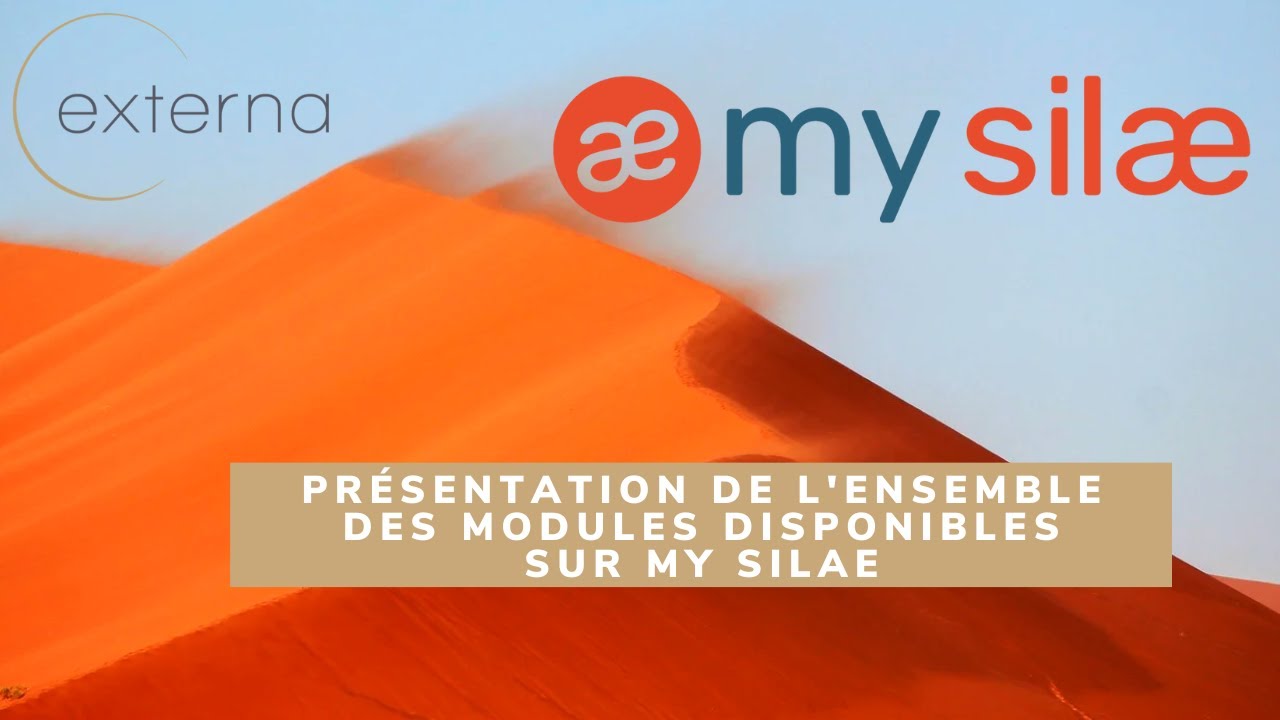 Présentation de l'ensemble des modules disponibles sur My Silae