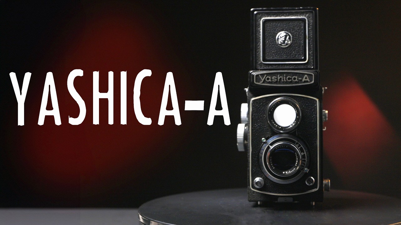 Yashica A TLR — просто супер! | Kentmere Pan 100, Ilford XP2 и Kodak Gold 200