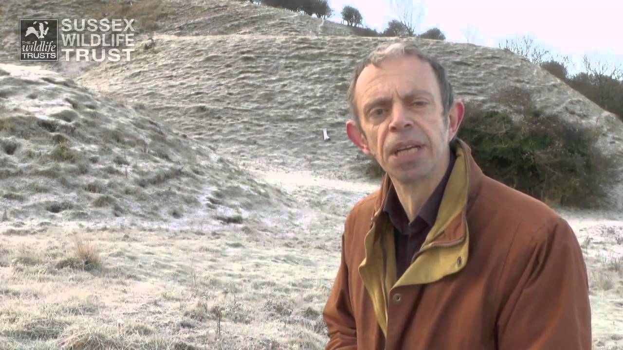 Save the Sussex Downs