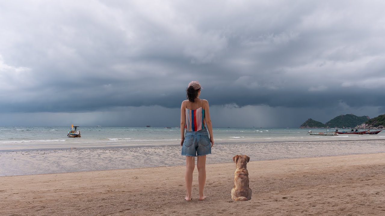 You just have to show up | Koh Tao, Thailand