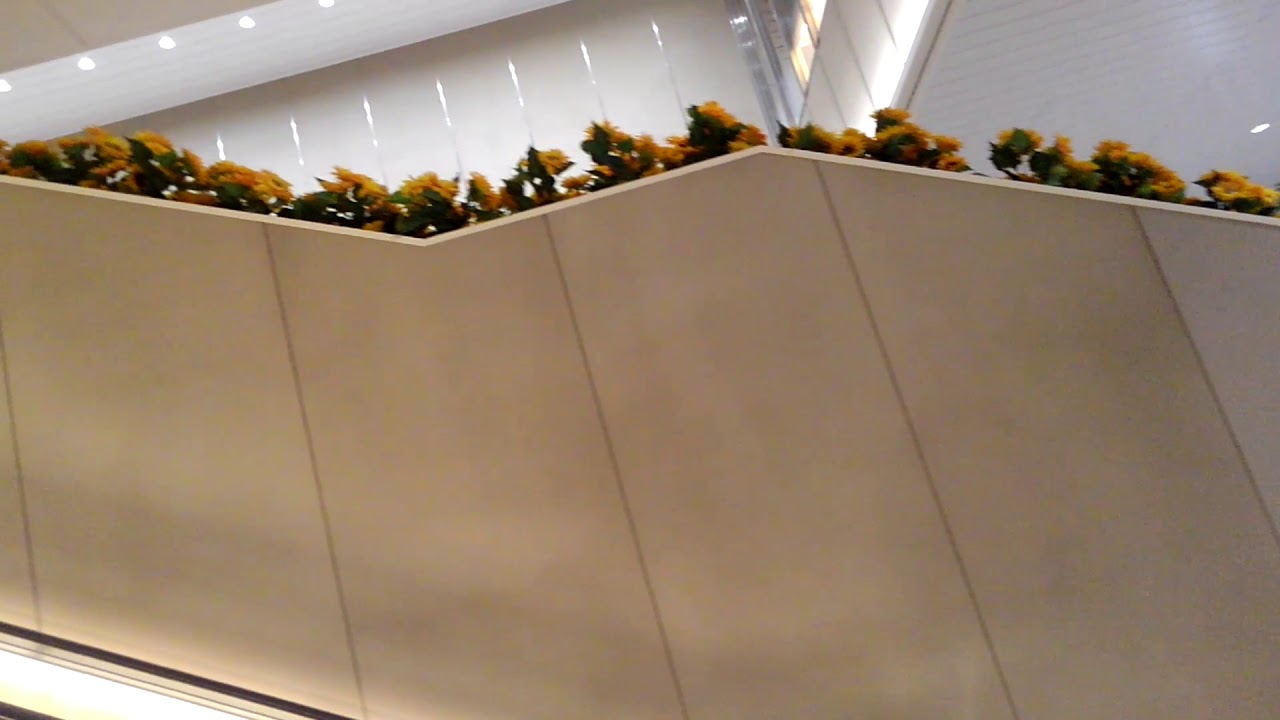朝の駅構内