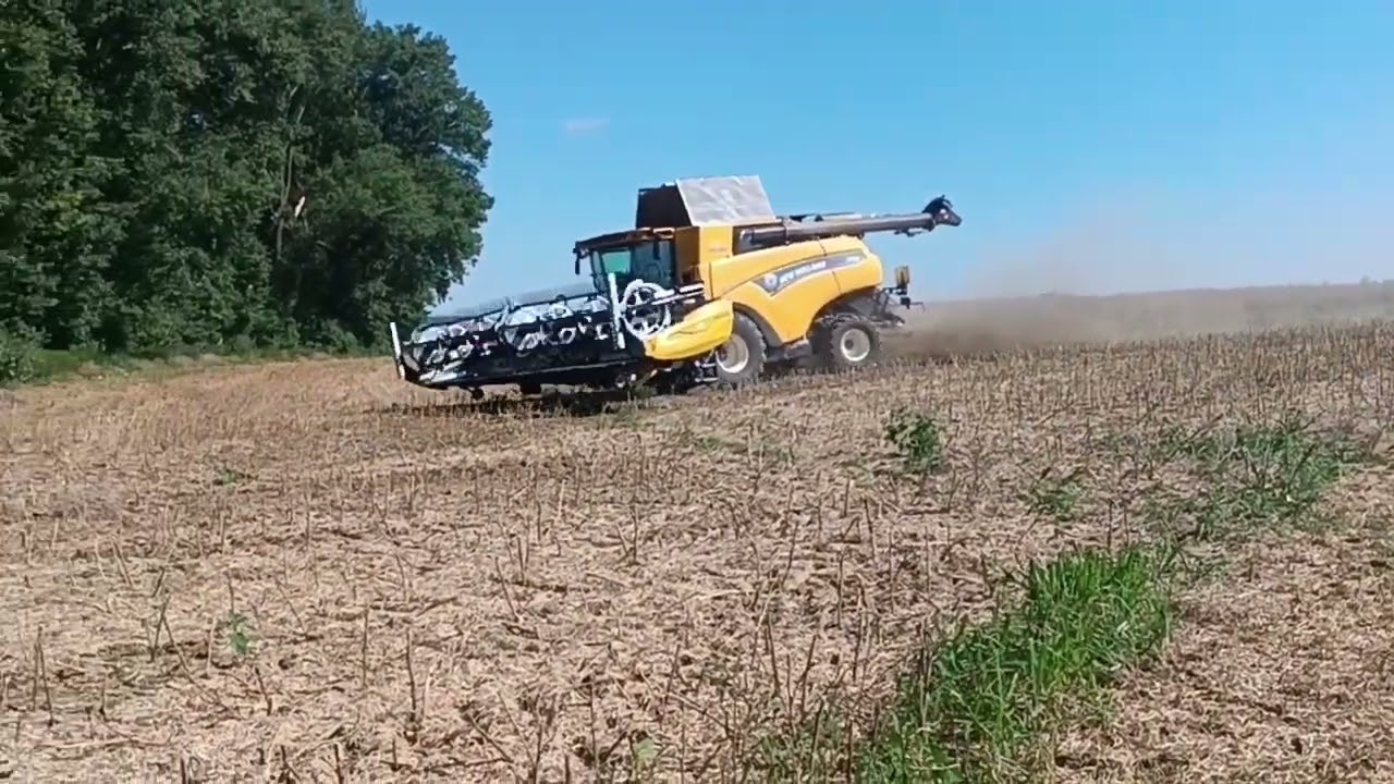 Žatva 2024|SPD Veselé a PD Vrbové|New Holland 3x|Claas Lexion 770