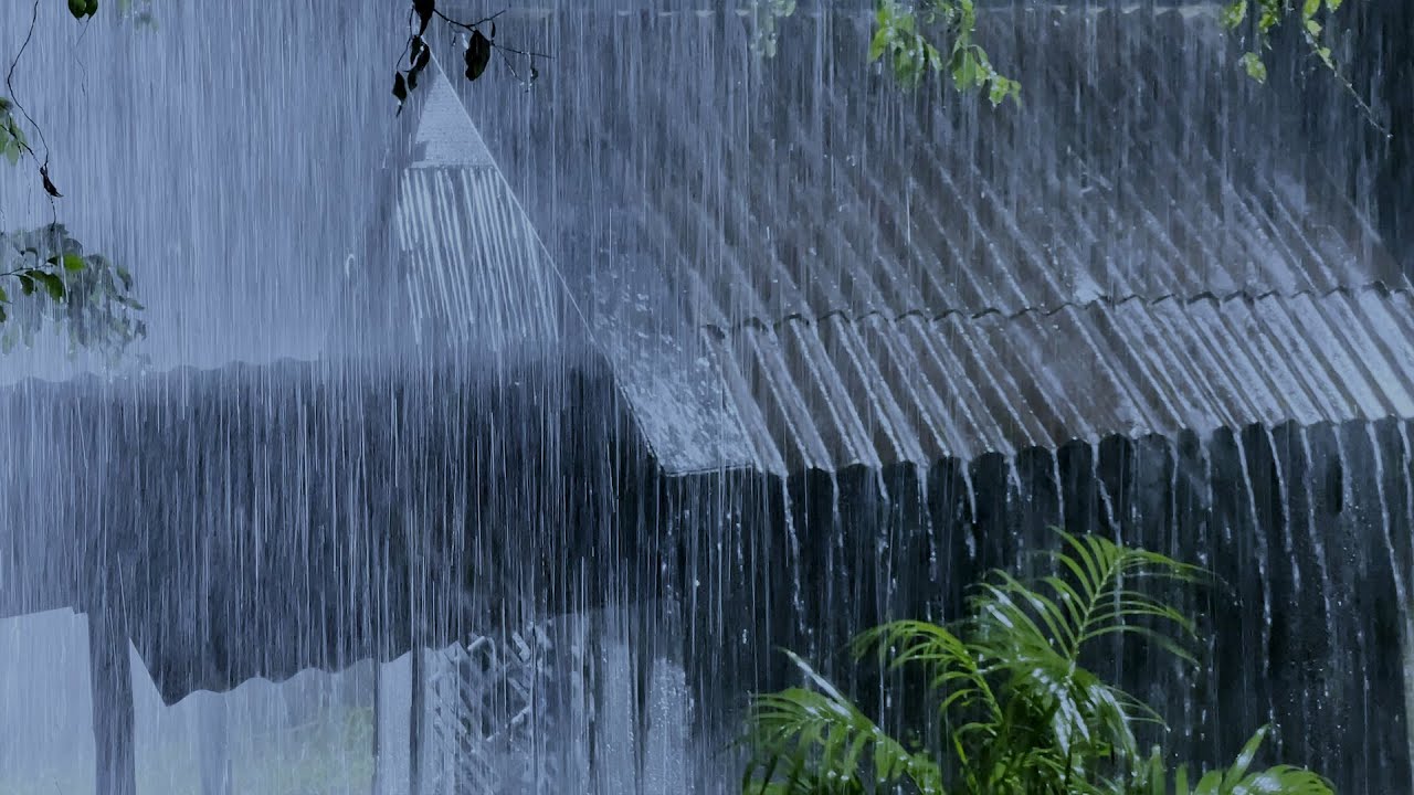 Solve All Your Sleep Problems with Nature Heavy Rain & Strong Thunder on Tin Roof of Old House