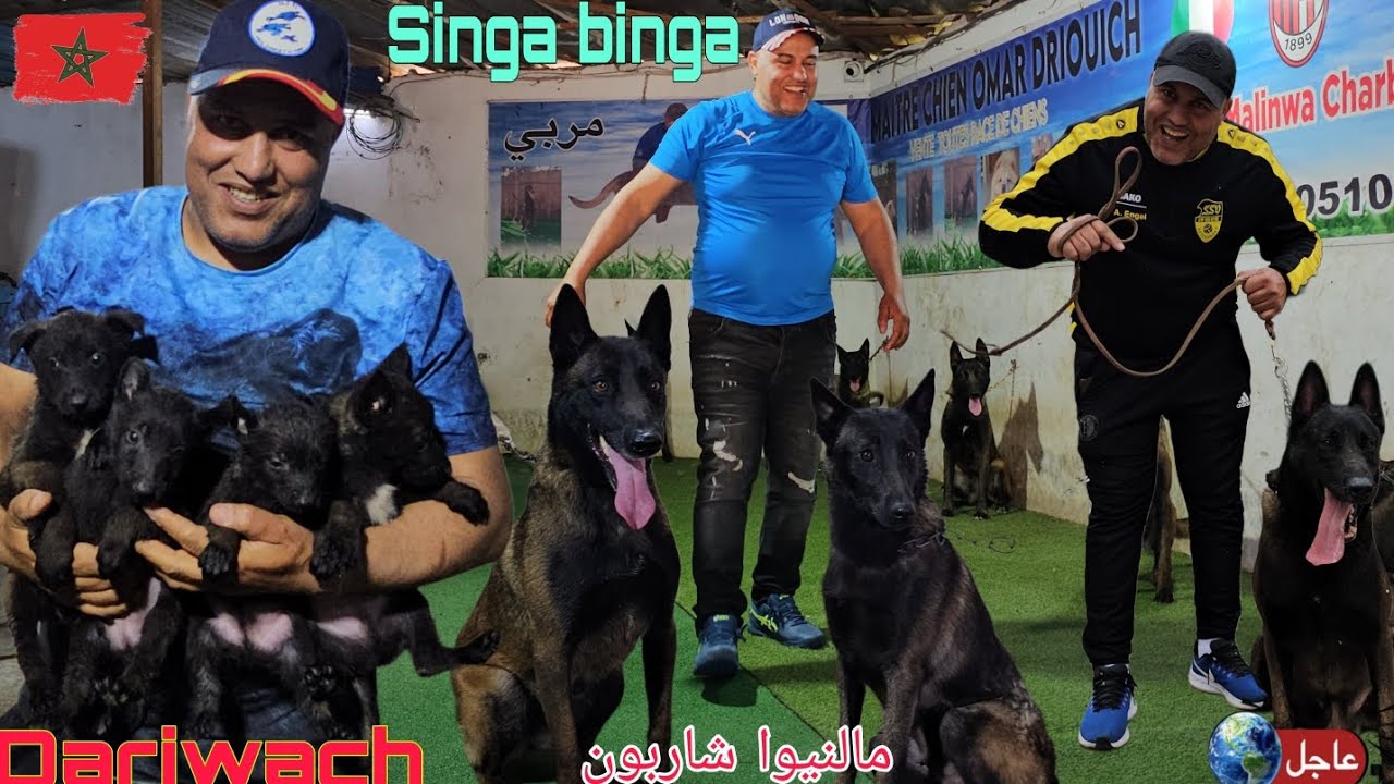 زيارة💣 مفاجأة 😱عند مولوع 🔞وبطل 🏅✨عمر درويش✨ 23/4/2025 واحسن كلاب❓ الحراسة😱 مالنيوا ⛔شاربون 🏆كايزار 🏅