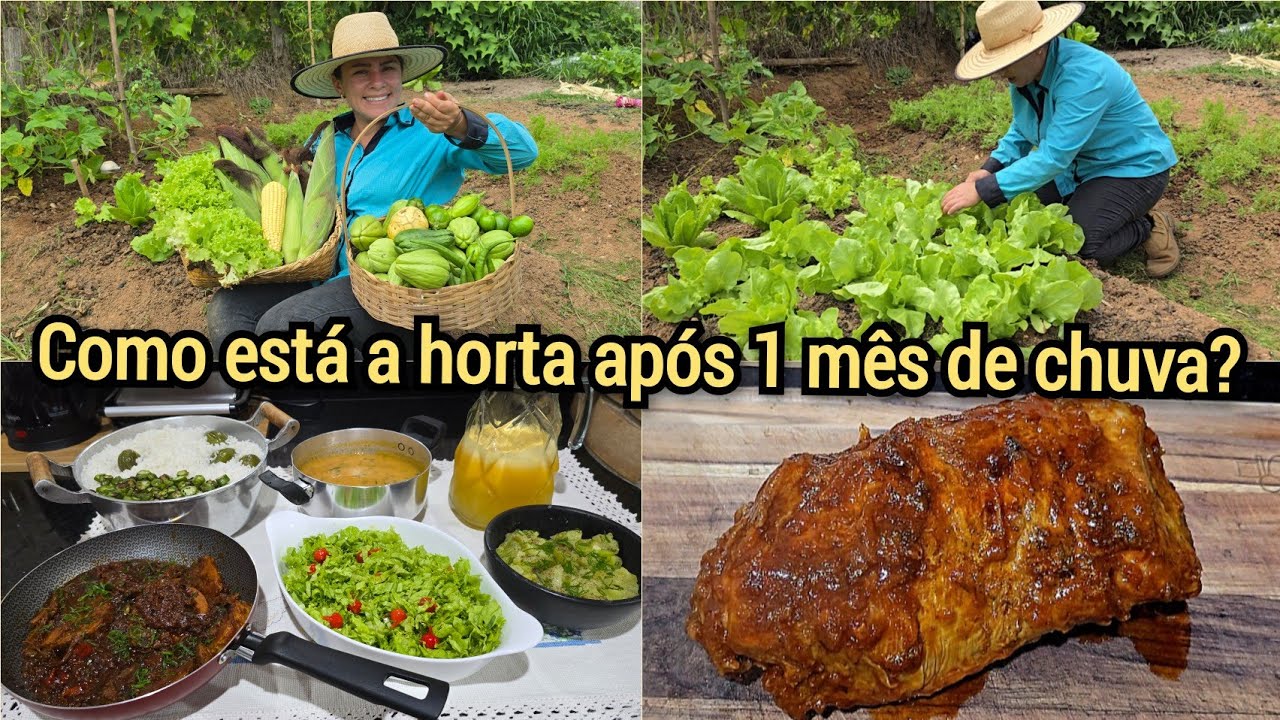 MESMO PRECISANDO RECOMEÇAR A COLHEITA FOI FARTA🙌JANTA COM LAGARTO AO MOHO🥩AS BÊNÇÃOS SÃO SEM FIM🙏