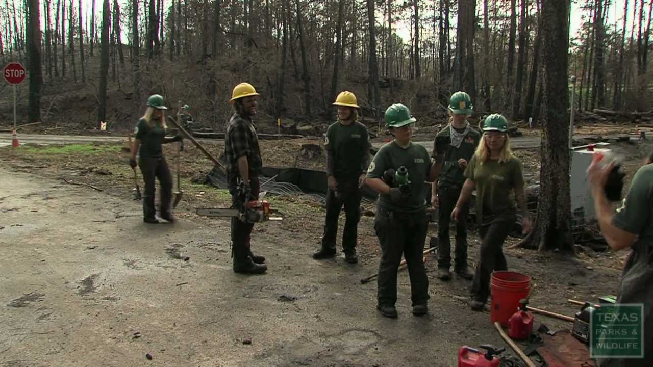 Texas Conservation Corps Takes Bastrop Back to its Roots