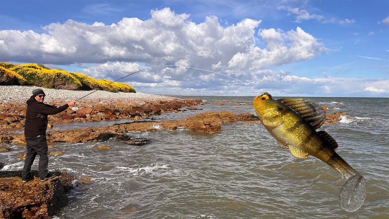 Beginner&rsquo;s Guide to Creature Baits &ndash; Catch More Bass!