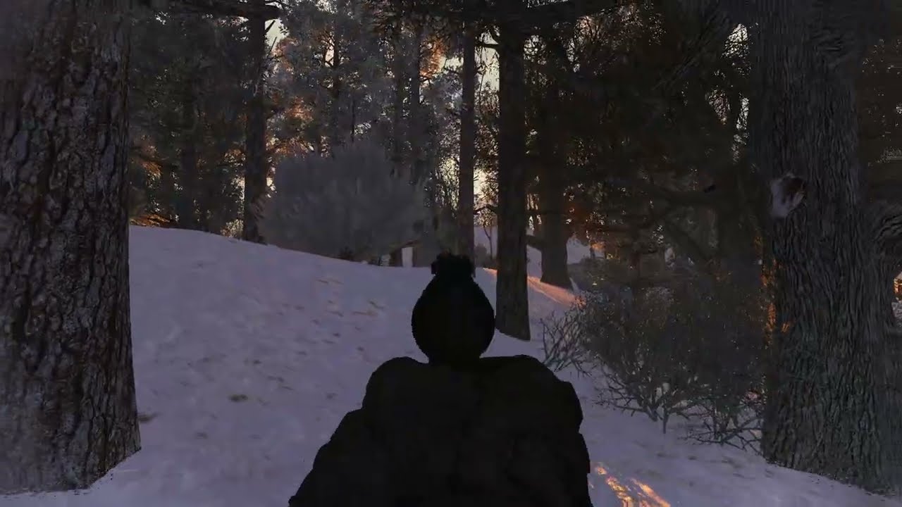 Why is the Revolver so satisfying? in Stalker Gamma