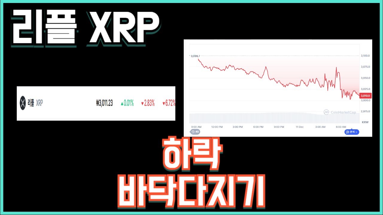 리플 XRP 하락 바닥다지기