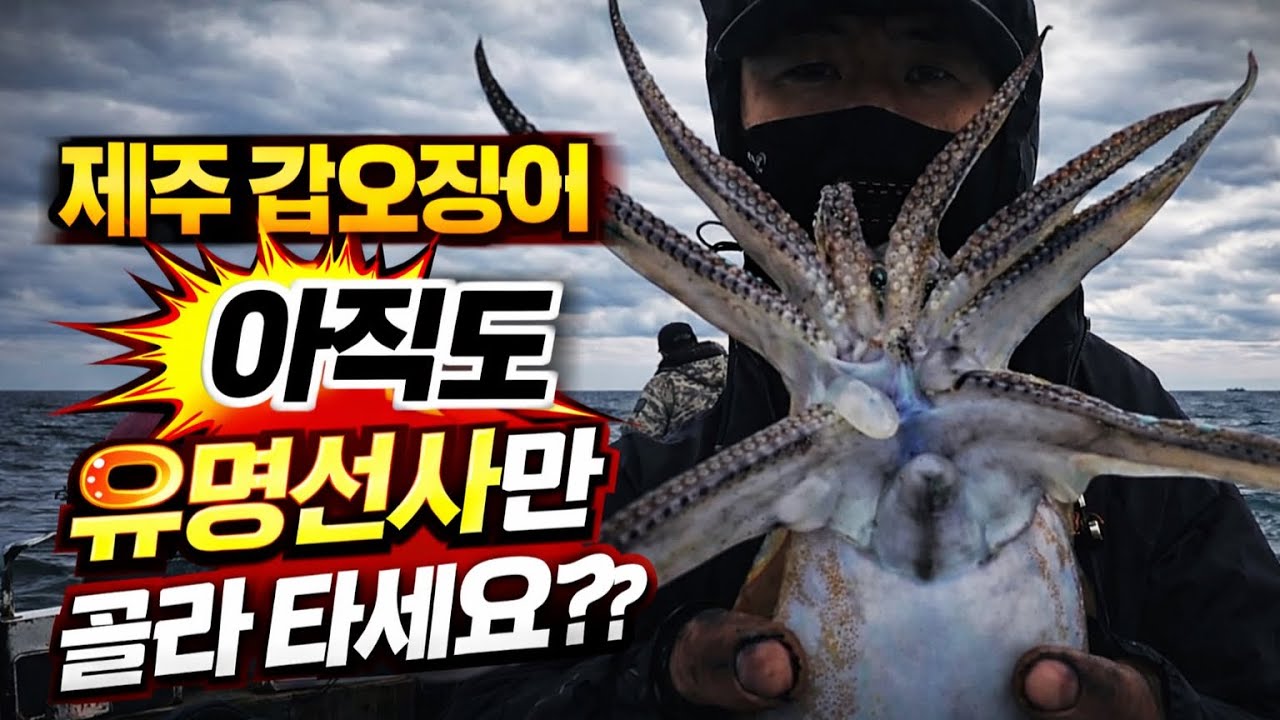 제주 갑오징어! 같은 날 같은 바다, 왜 조과가 다를까요?