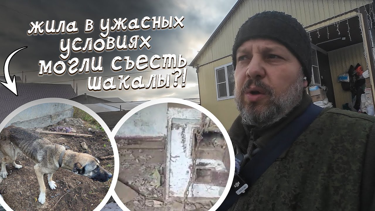 Вот до чего доводят ужасные условия содержания животных...
