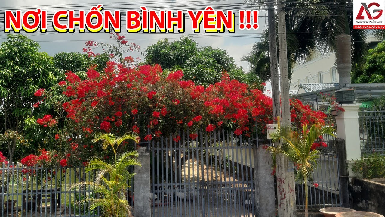 NƠI CHỐN BÌNH YÊN !!! | AN GIANG NGÀY NAY