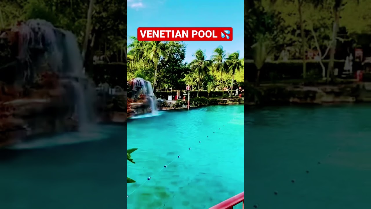 BEST Things To Do In MIAMI!😍 Live Your DREAM LIFE NOW!