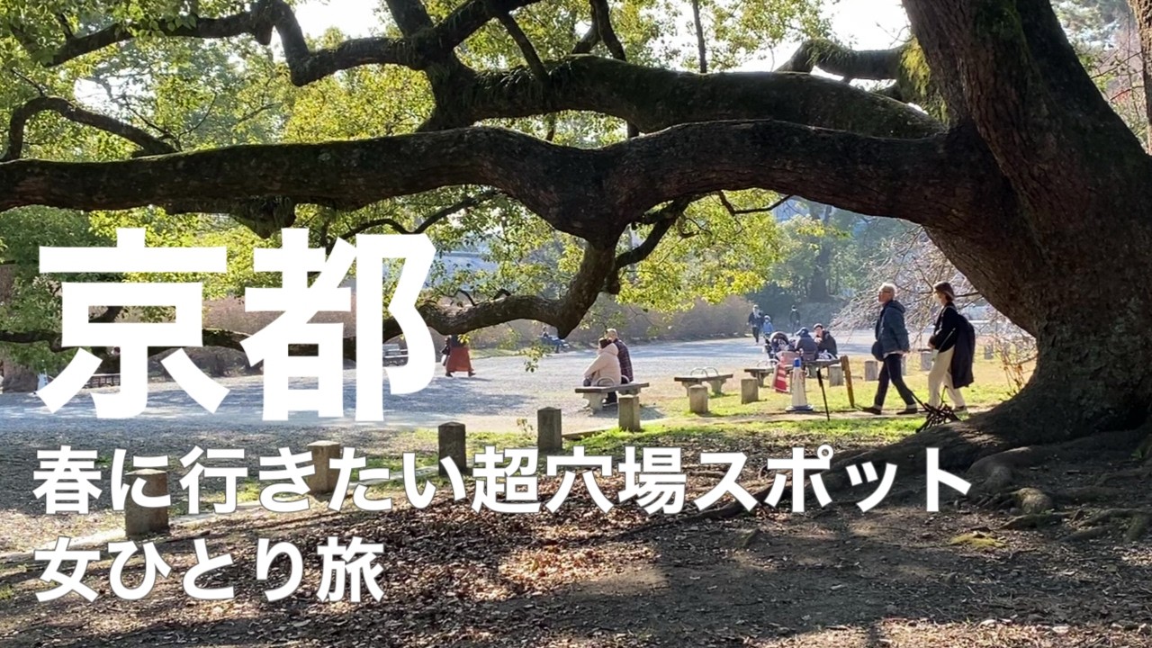 【京都観光】2月とは思えない陽気…京都御苑〜木屋町通りひとり散歩が癒しすぎた三連休 #京都観光 #京都旅行 #女ひとり旅