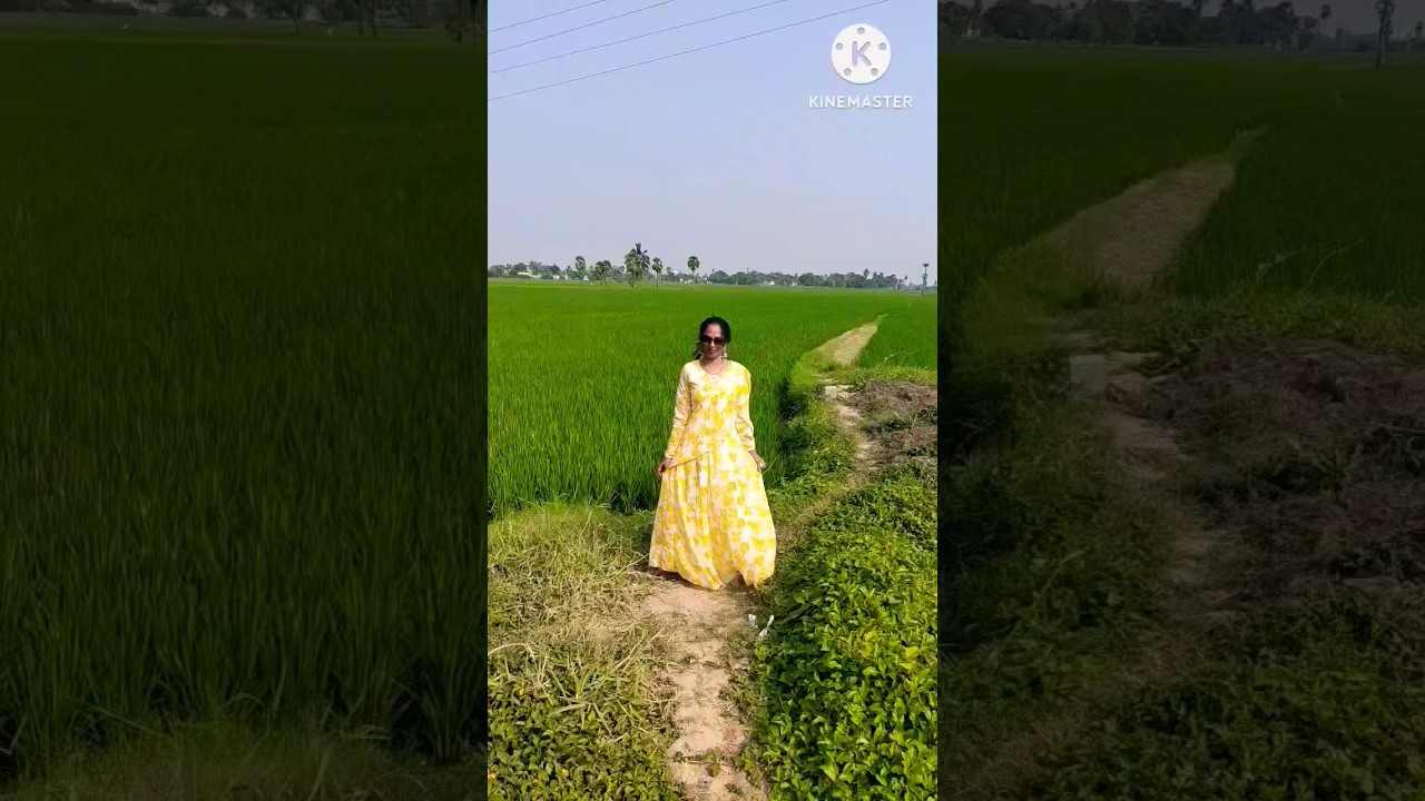 🌴🌴Nellore - Allur village # spirit &lrm;@mythili 🌳🌳🍀🍁🌾🌾🌾🌿