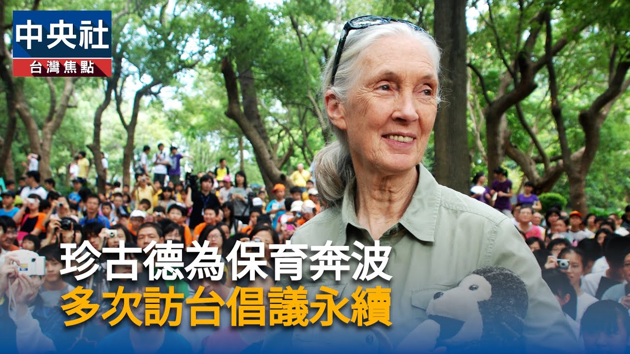 珍古德為保育奔波　多次訪台倡議永續 | 中央社影音新聞
