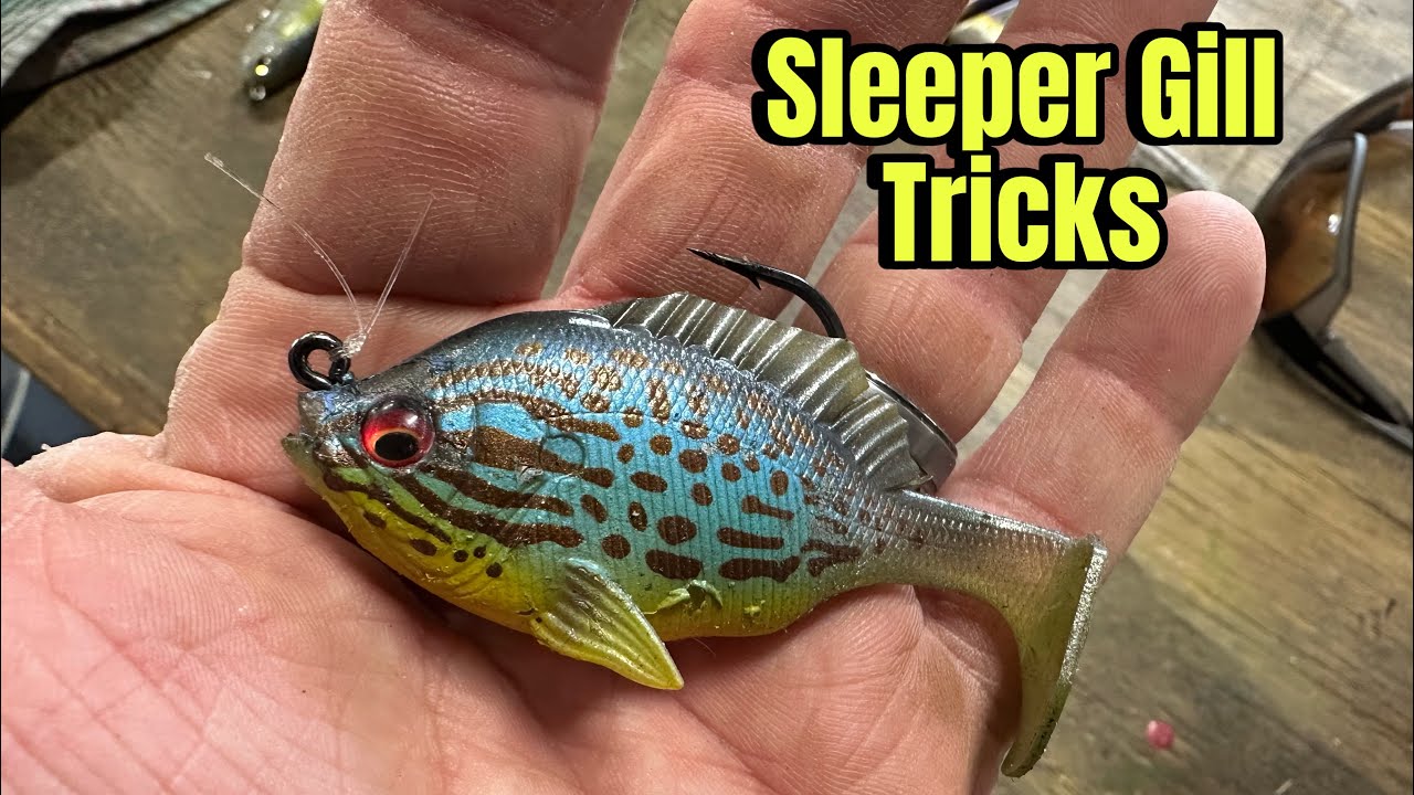 Springtime Sleeper Gill Tricks And Tips…