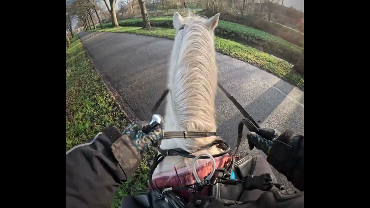 Eindelijk weer eens een buitenrit!! Na vier weken niet gereden te hebben. Paard was ietwat fris! 👻