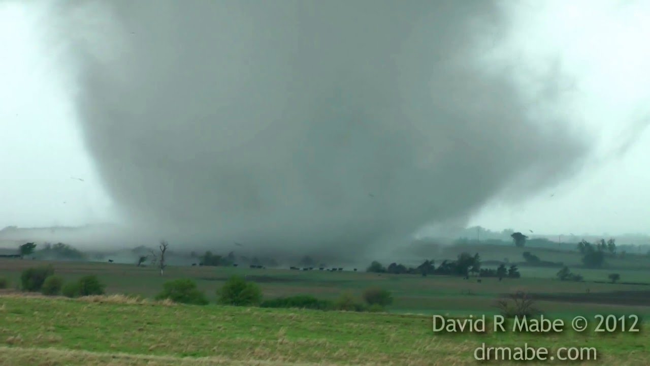 Tornado and Cows, April 14 2012, southwest of Salina near Langley KS.