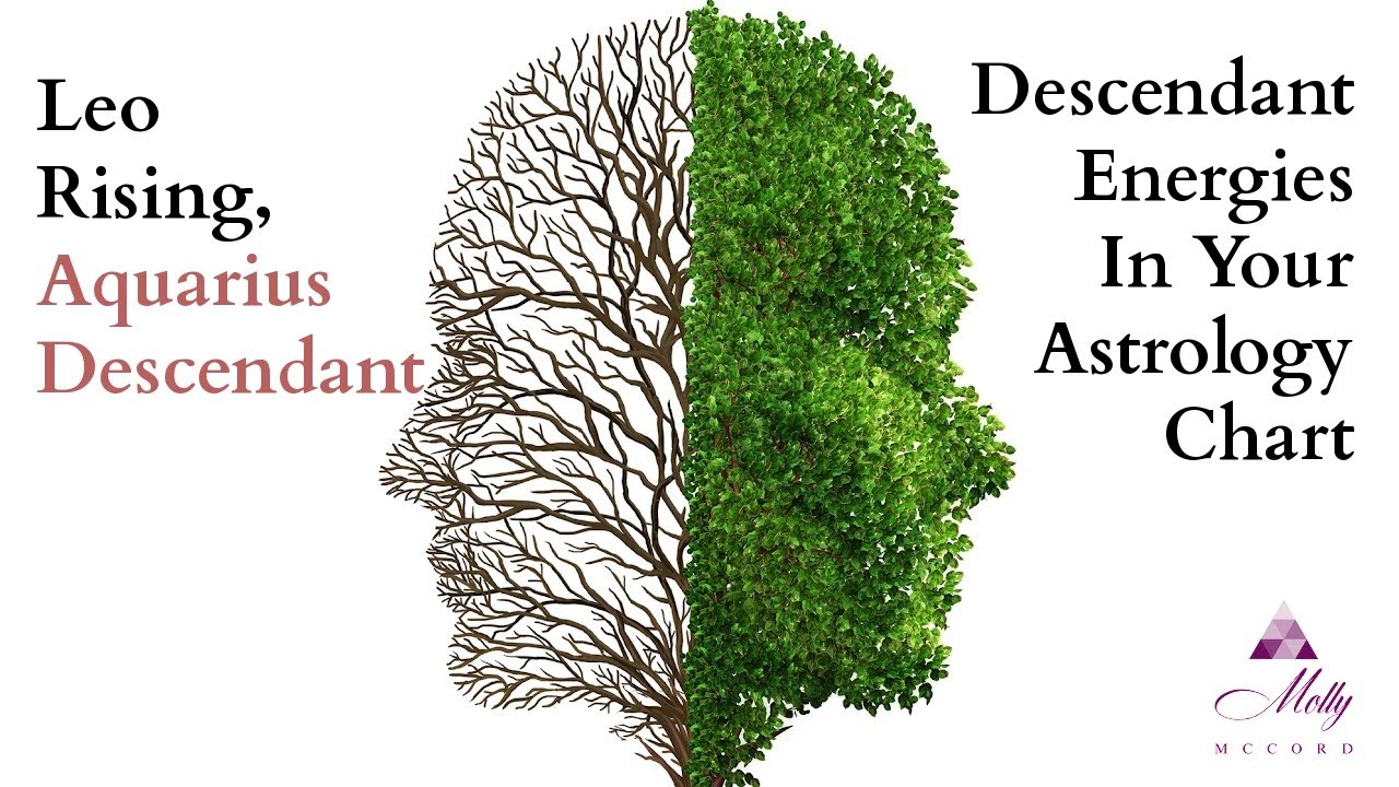 A Deeper Look at Your Aquarius Descendant - Leo Rising - Astrology