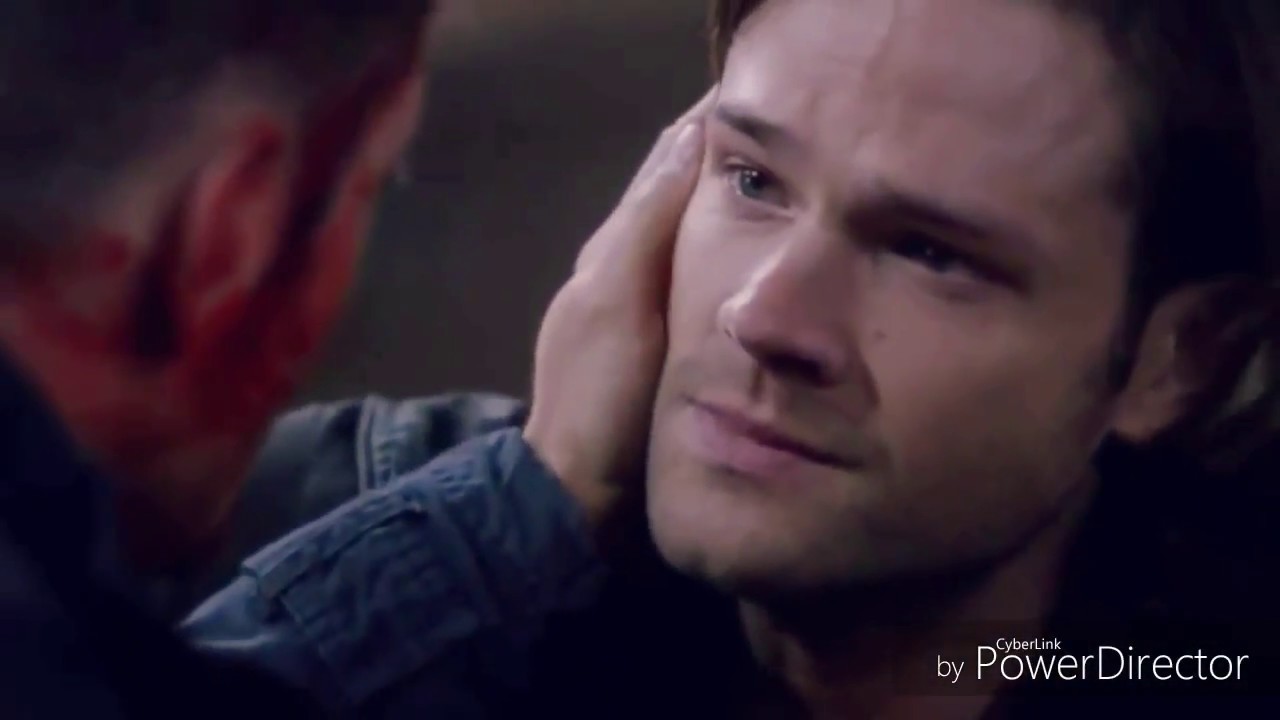 STAY&bull;Supernatural-TEAM FREE WILL&bull;Zedd, Alissa Cara|