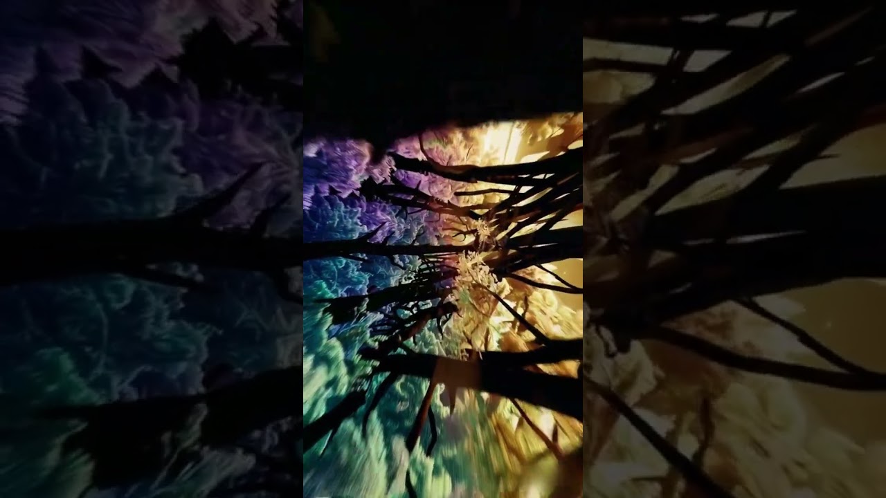 Vy Pole - Там где всё (2025) #postrock #shoegaze #melancholicmusic #newmusicvideo  #postmetal #music