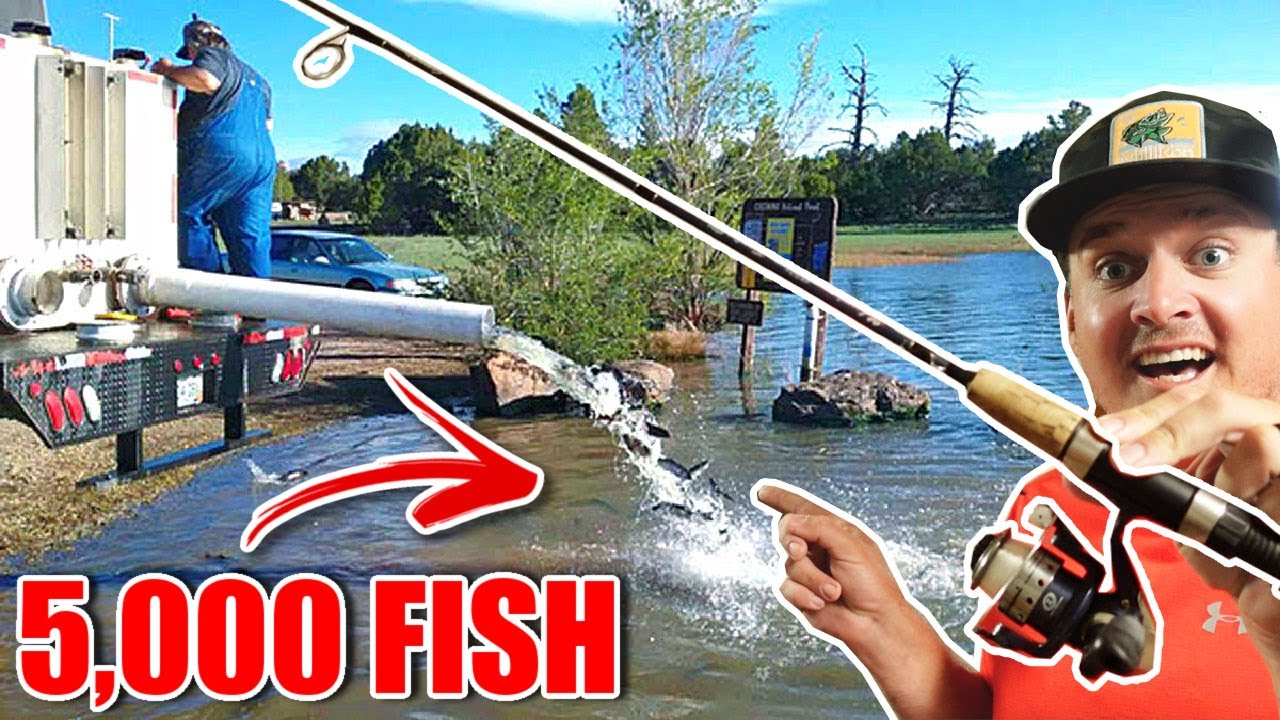 The STOCKED 5,000 Fish!!! --I Caught them IMMEDIATELY After!