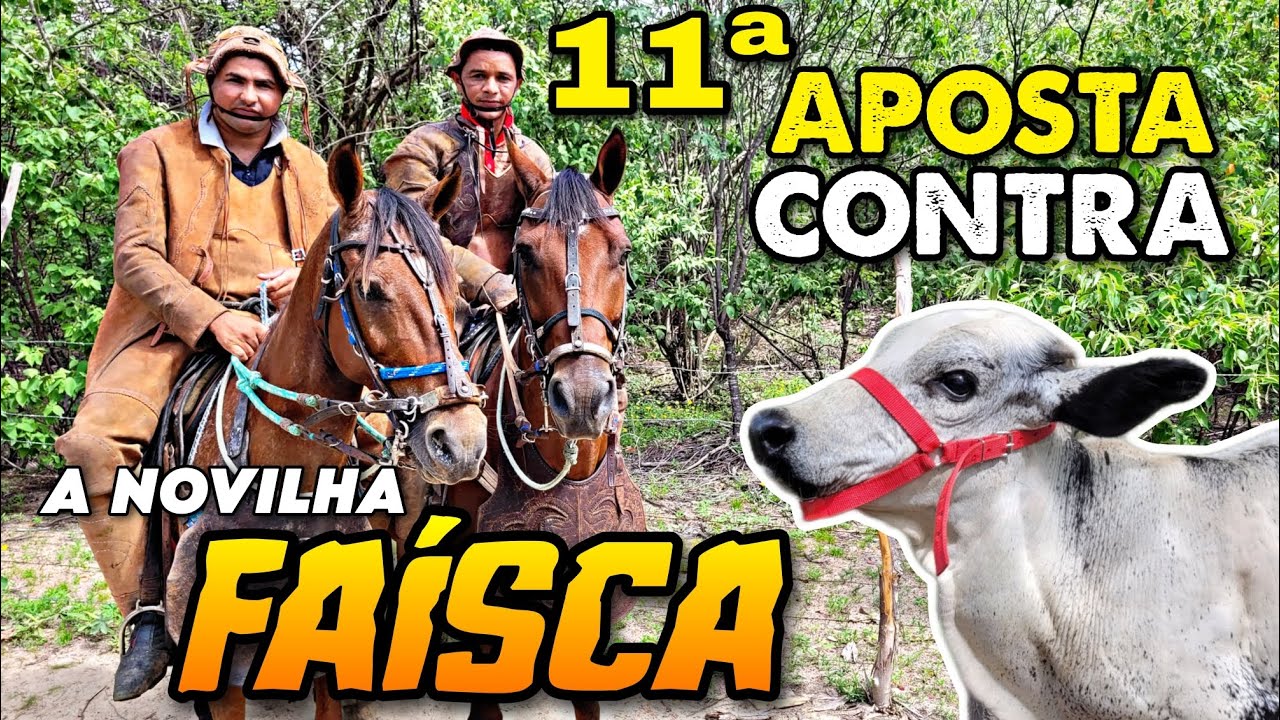 VAQUEIROS IOGURTE E GALEGUIN CONTRA A NOVILHA FAÍSCA