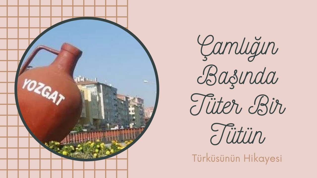 Çamlığın Başında Tüter Bir Tütün Türküsünün Hikayesi | Sürmeli | Yozgat Türküleri |