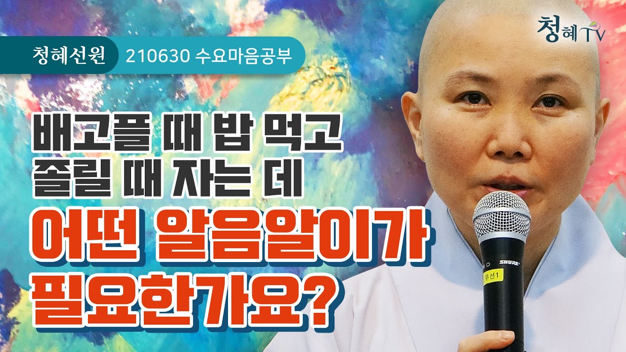 2021.06.30 [청혜선원] 수요공부ㅣ참고도서_지금 이순간을 살아라 15번째 시간 