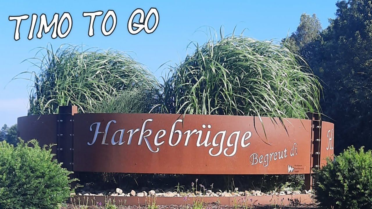 Urlaub 2024 am Harkebrügger See