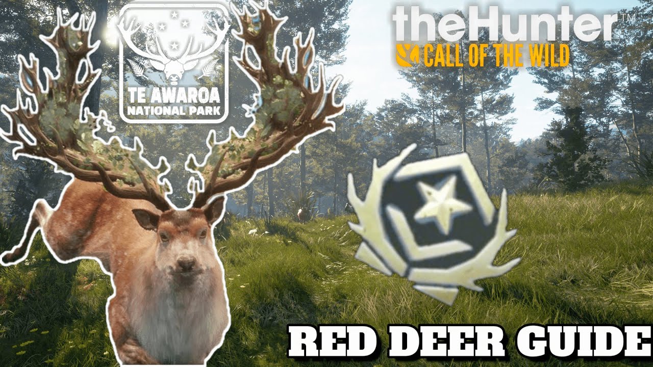 GREAT ONE Red deer SET-UP on (TE AWAROA) on The Hunter Call Of The Wild