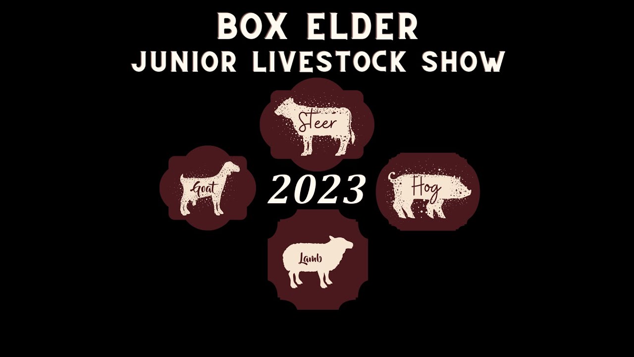 Sheep Breeding Show (2023)