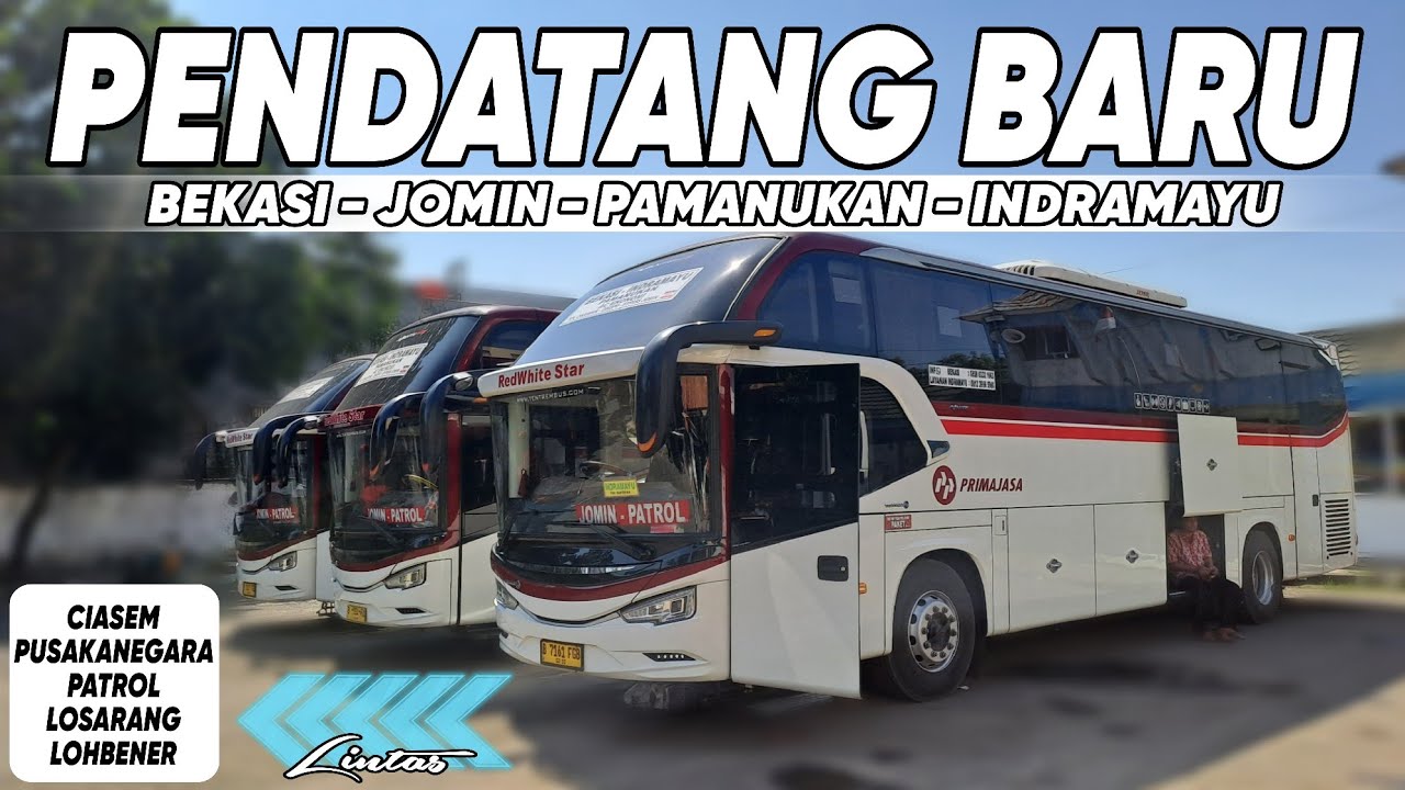 PENDATANG BARU JALUR PANTRUA‼️TRIP PRIMAJASA BEKASI - INDRAMAYU, SEWA FULL