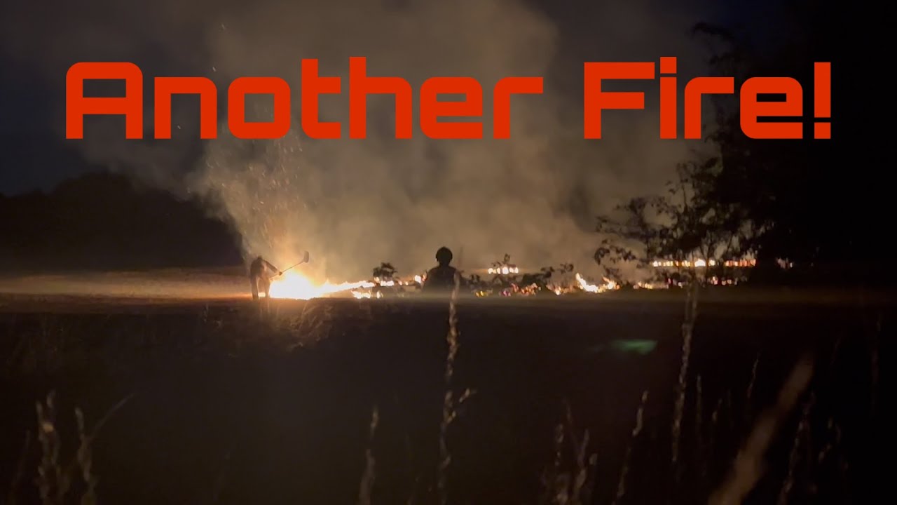 Another Fire! Big Log Pull! Combine Harvester is Back Cutting Wheat!