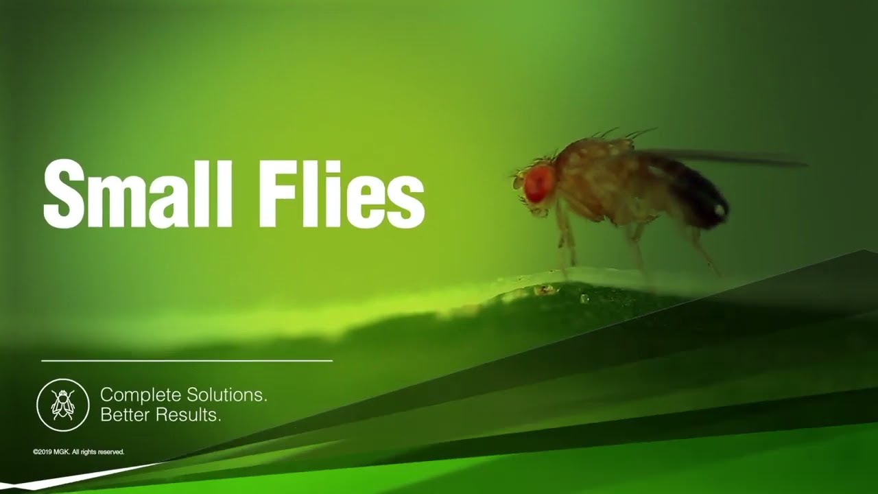 Get Complete Solutions and Better Results with MGK