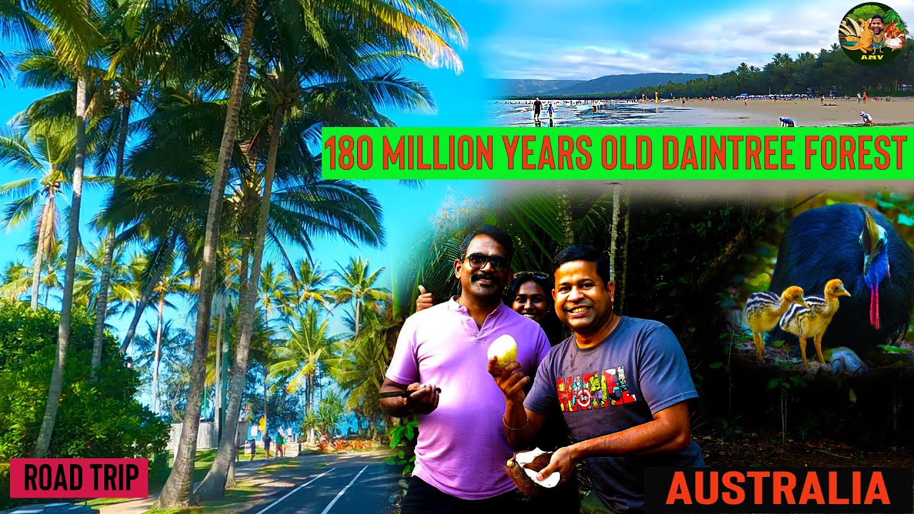 Australia Road Trip | Cairns | Australia Malayalam Blog