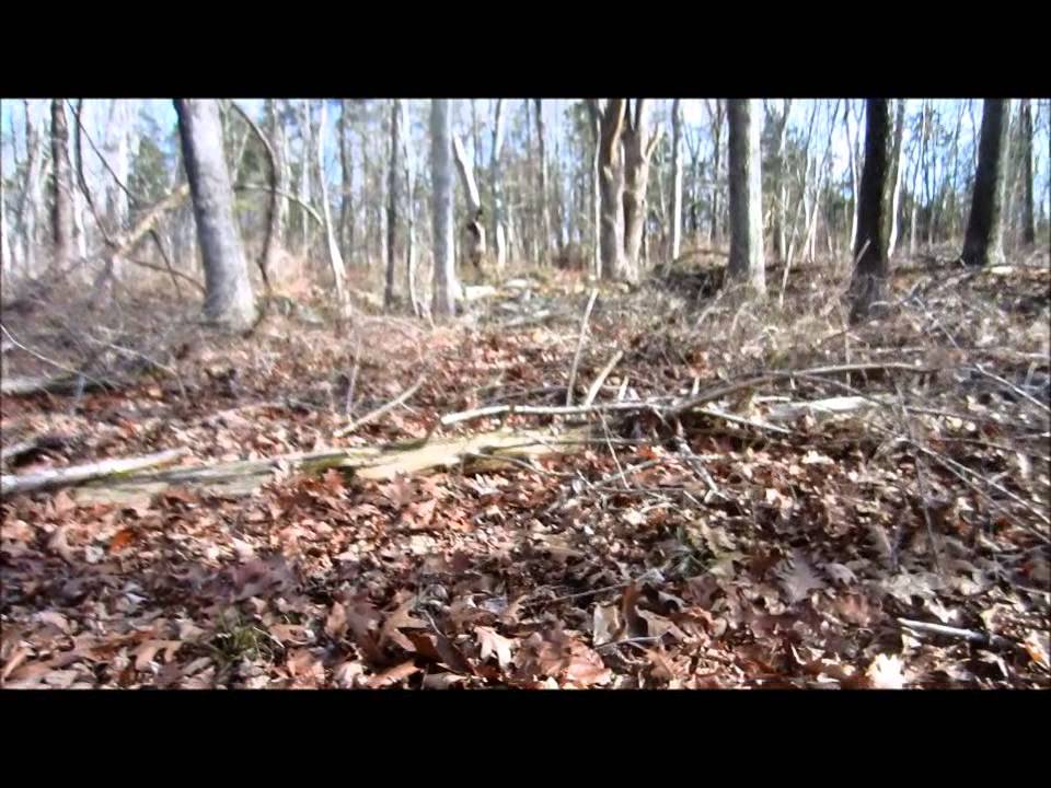 Metal detecting  18th century cellar holes