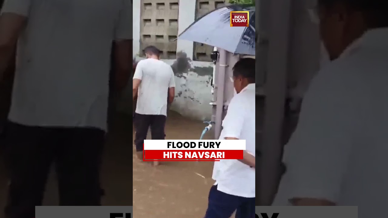 Viral Video: Flood-Like Situation In Gujarat's Navsari As Rivers Overflow