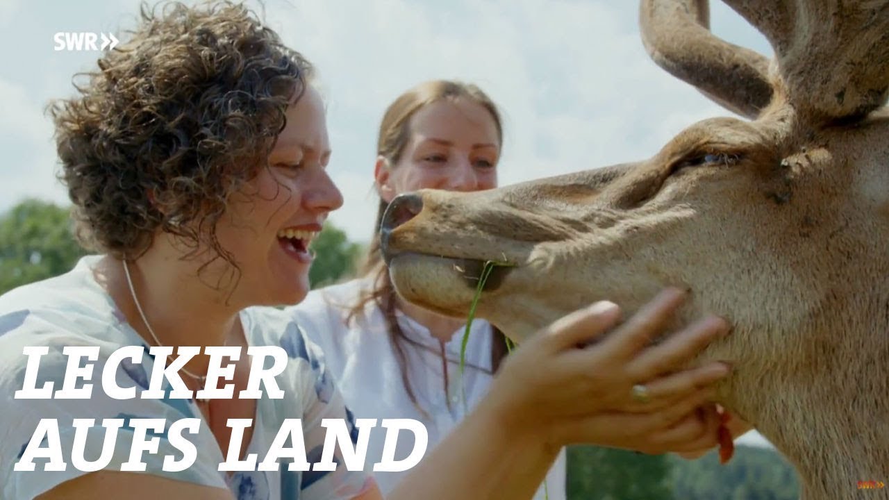 Zu Andrea Engel nach Schwäbisch Hall | SWR Lecker aufs Land (S9/E05)