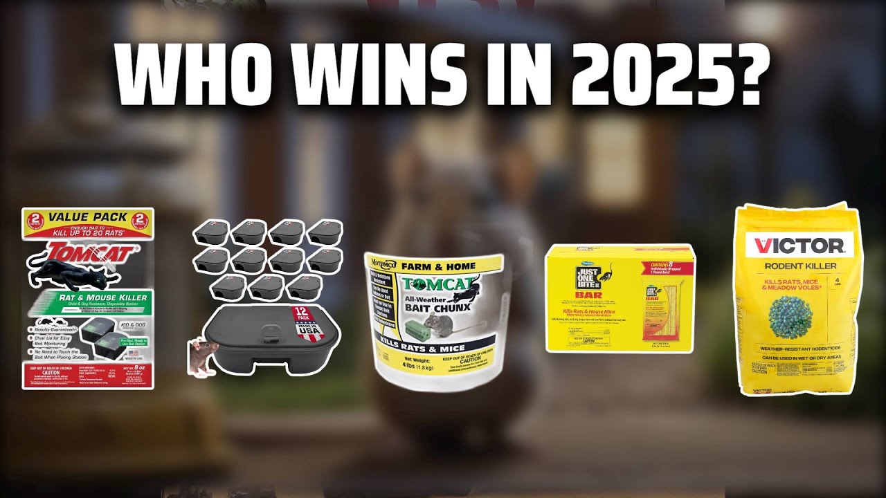 The Top 5 Best Rat Poison in 2025 - Must Watch Before Buying!