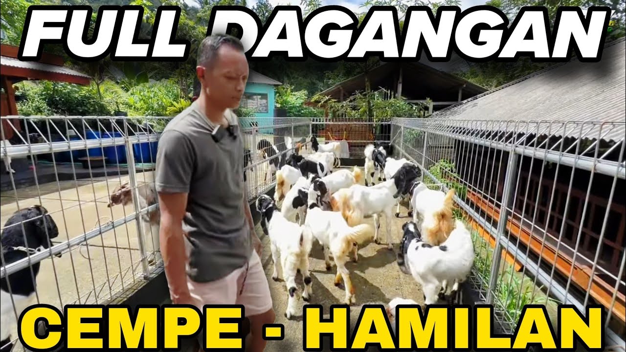 SPESIAL RAMADHAN - KUALITAS DAGANGAN KKTV