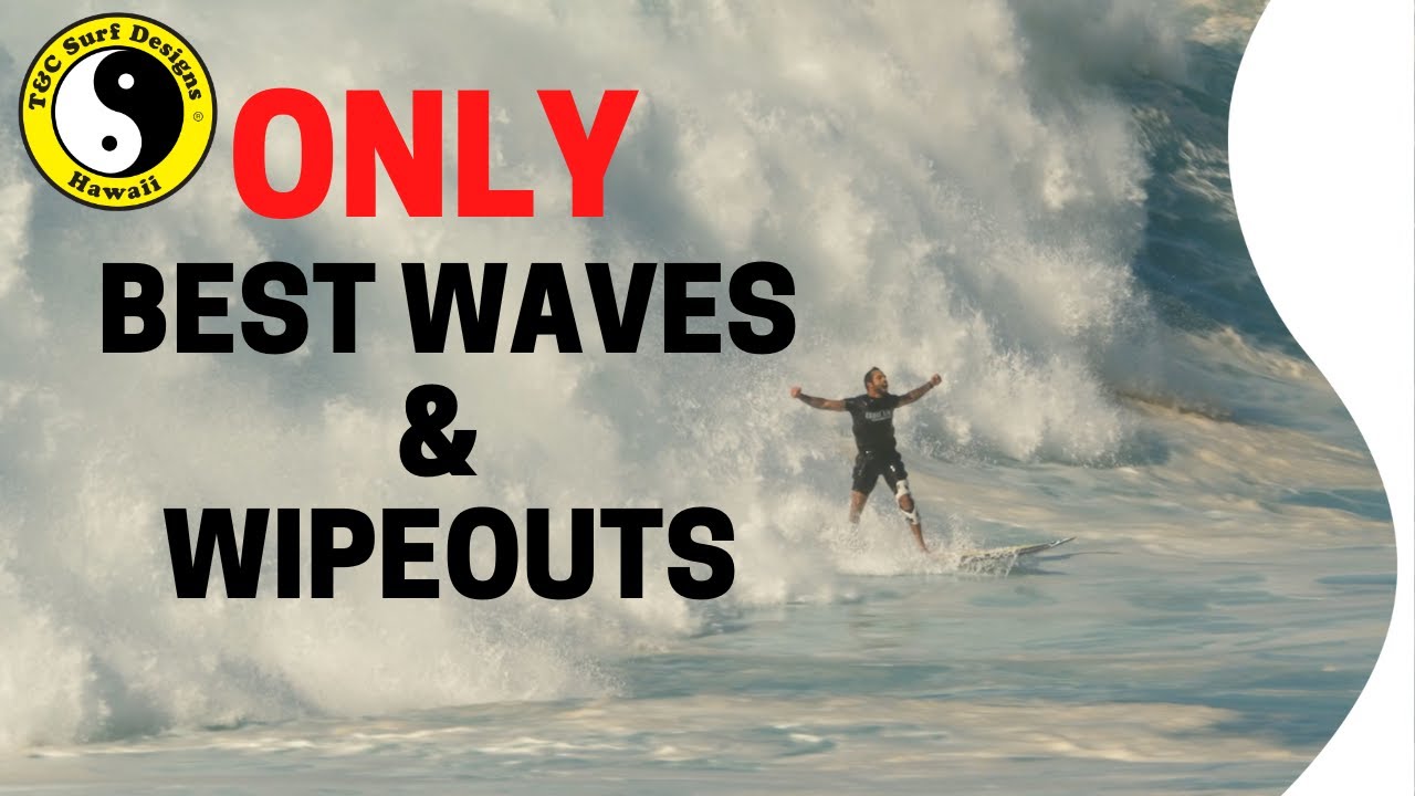 Eddie Aikau Big Wave Invitational 2023 HIGHLIGHTS - RAW FOOTAGE - DOG GETS RESCUED BY LIFEGUARDS