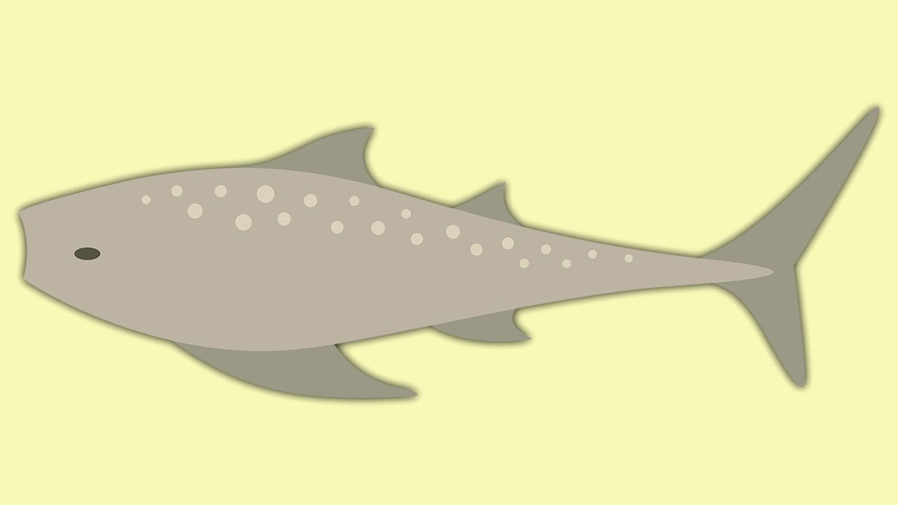 Cat Goes Fishing - Maw catching Guide