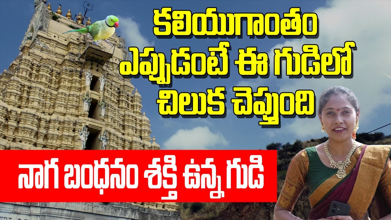 శివరాత్రికి ఇక్కడ దర్శిస్తే మీకు కోట్ల జన్మల పుణ్యం  Sangameswaram Temple in Kadapa #shivalayam